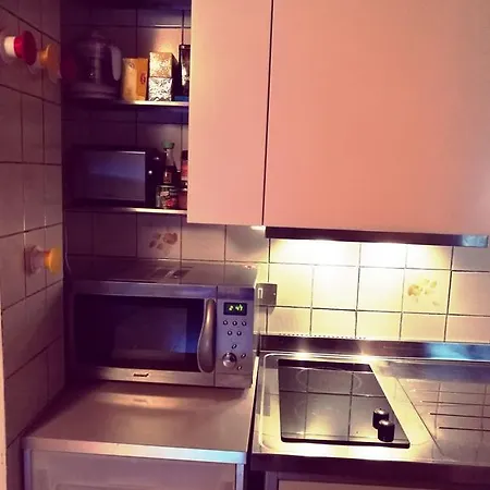 Cozy Flat In The Alps 公寓