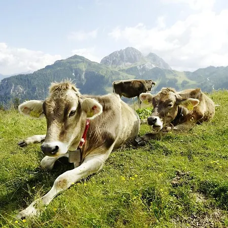 شقة Cozy Flat In The Alps بونتيبا