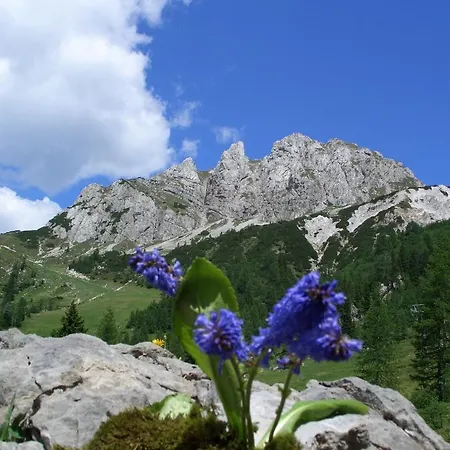 Cozy Flat In The Alps 公寓